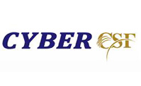 Cyber CSF